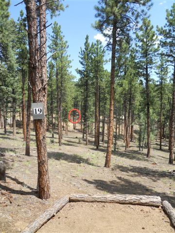 #19 Tee